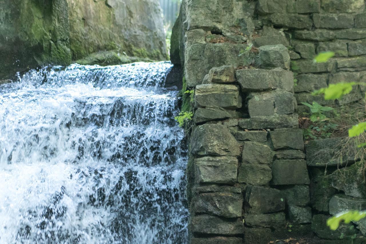 Haus Am Wasserfall Detmold Eksteriør billede